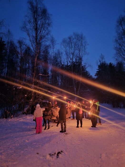 Kulig kuligi zaprzęgiem konnym