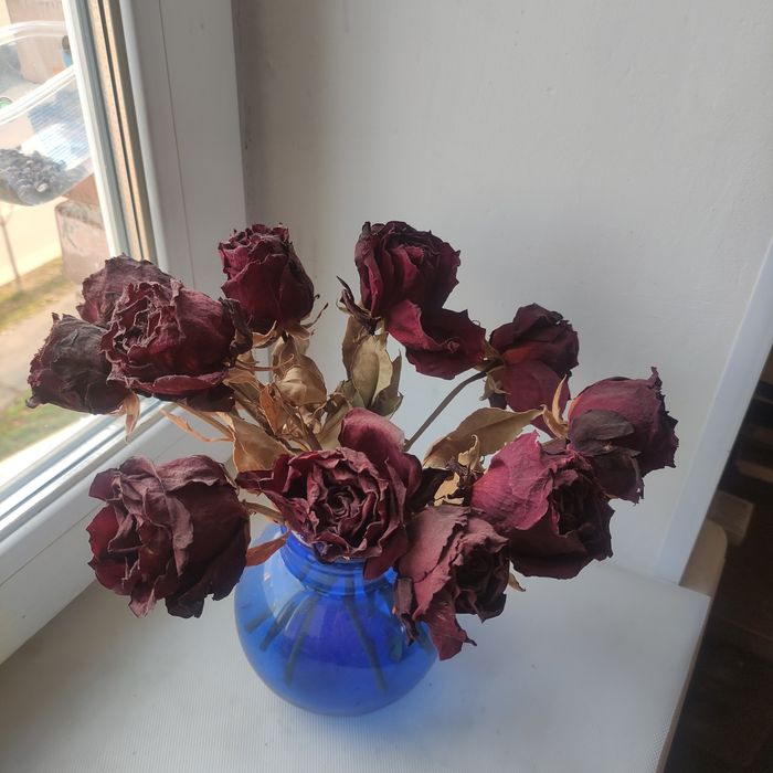 Сухі квіти, троянди