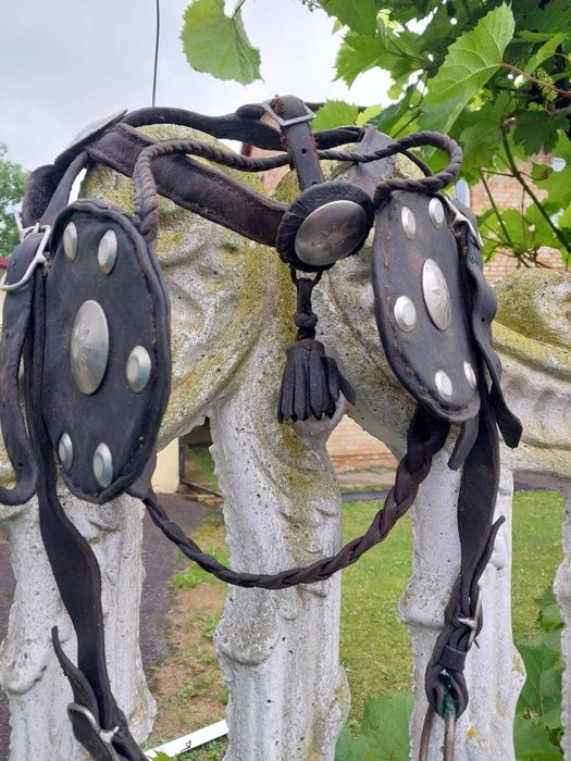 Упряж кінна (амуніція на пару коней)