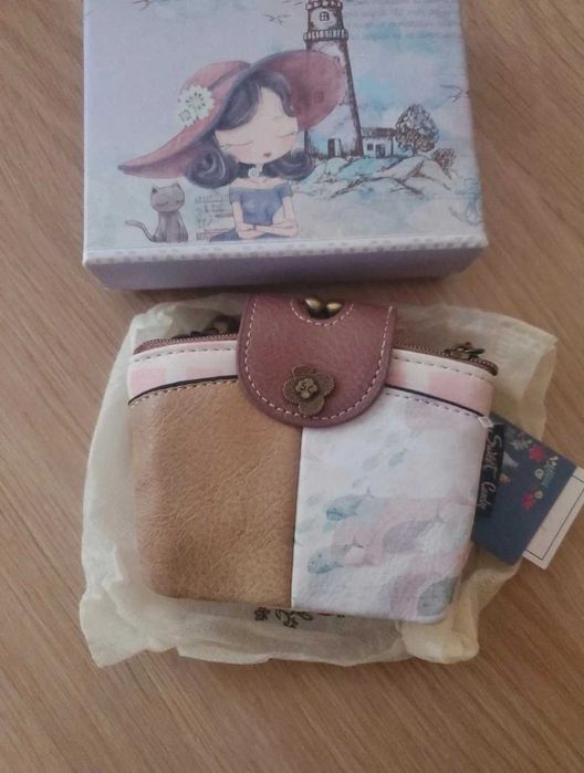 Carteira mulher nova e linda