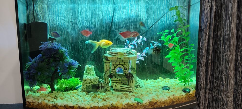 Акваріум+тумба+фільтра+ рибки