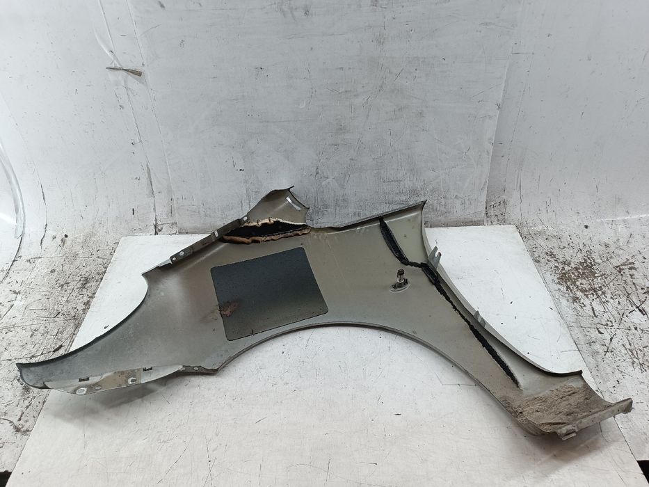 Guarda Lamas Direito - CITROËN Xsara Picasso (N68) | 99 - 12
