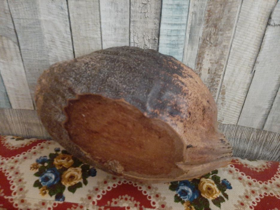 Coco (metade) Cinzeiro