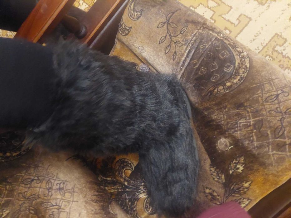 Cупертеплые Унты Мех внутри нат. войлок, Чехия 41-42 р, Унисекс Новые