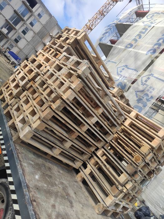 Palety jasne jednorazowe / max / amerykanki