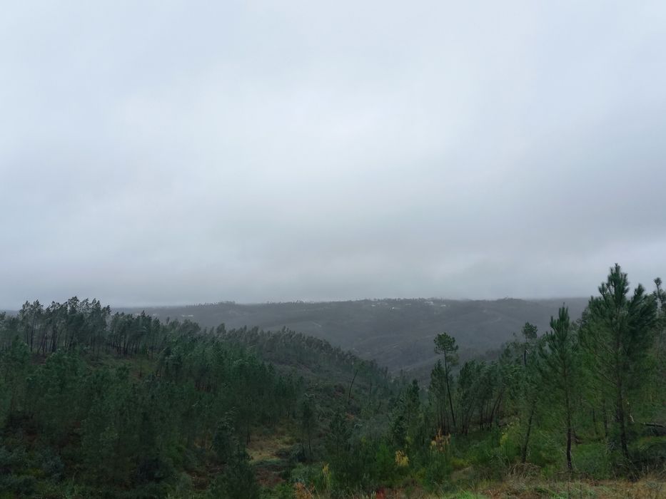 Terreno Urbano em São Domingos de Rana