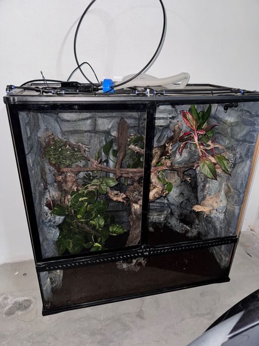 Terrario construído ha mão tudo a trabalhar