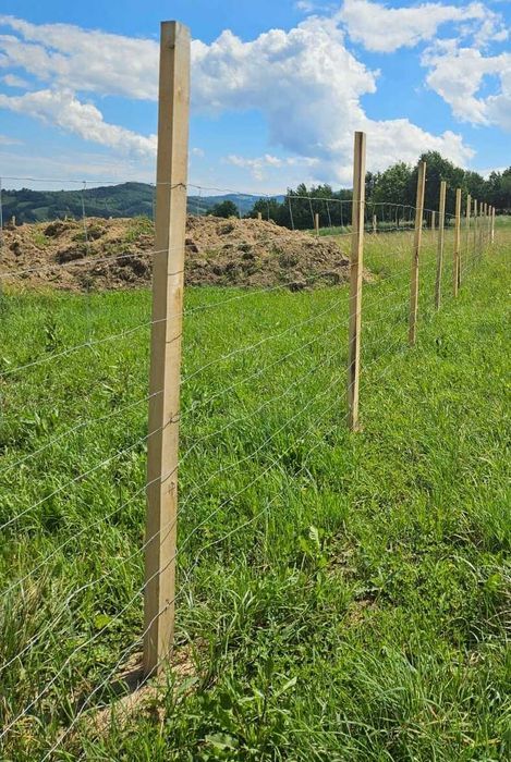 Kantówka dąb tarcica dębowa na płot ogrodzenie 5x10 długość 2,50