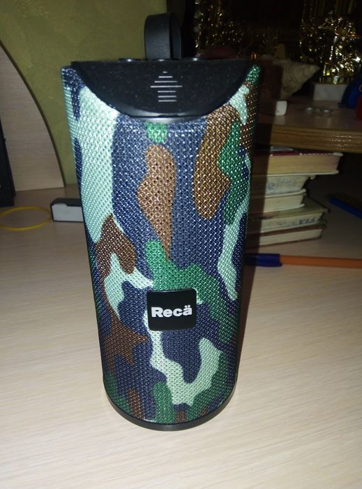 Портативная колонка Reca AST-311C