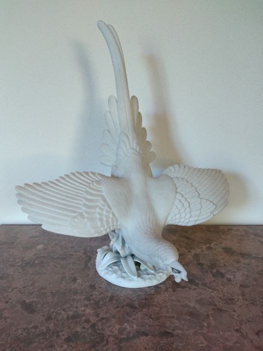 Pássaro Azul da China, Vista Alegre