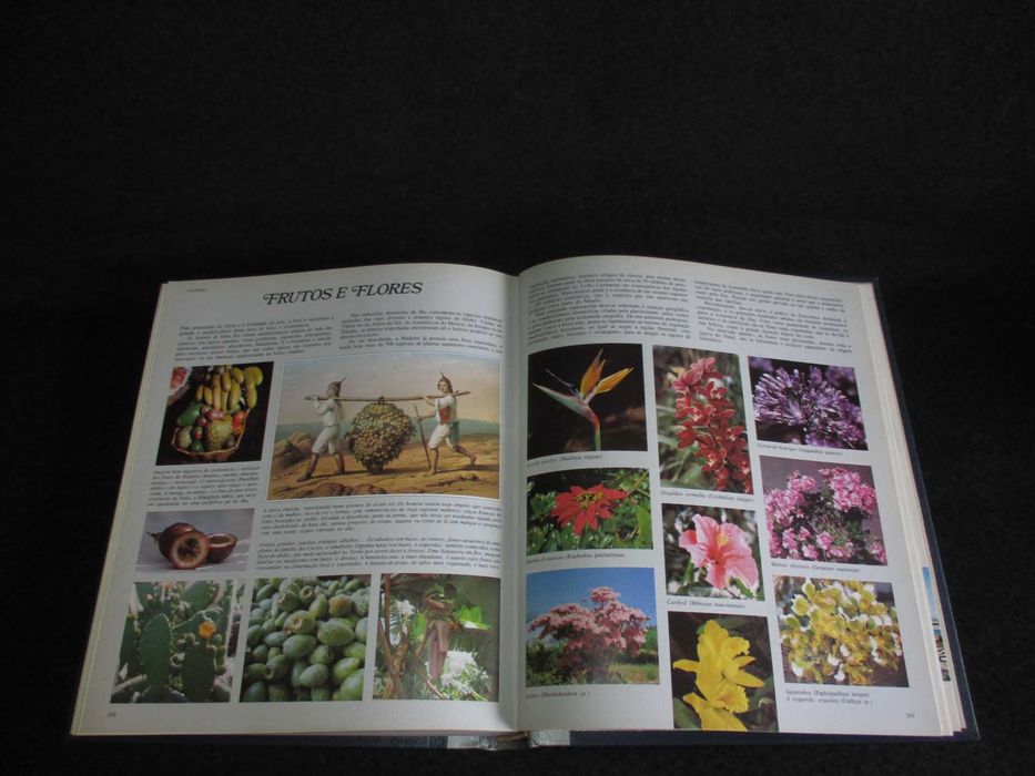 Livro À Descoberta de Portugal