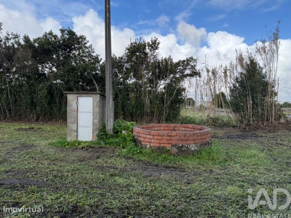 Terreno em Monte Real e Carvide