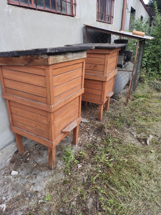 Ul dla pszczół nowy