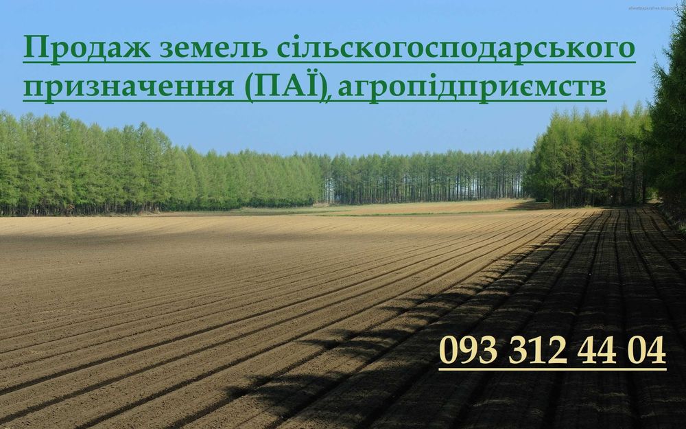 Продаж земель сільскогосподарського призначення, агропідприємств
