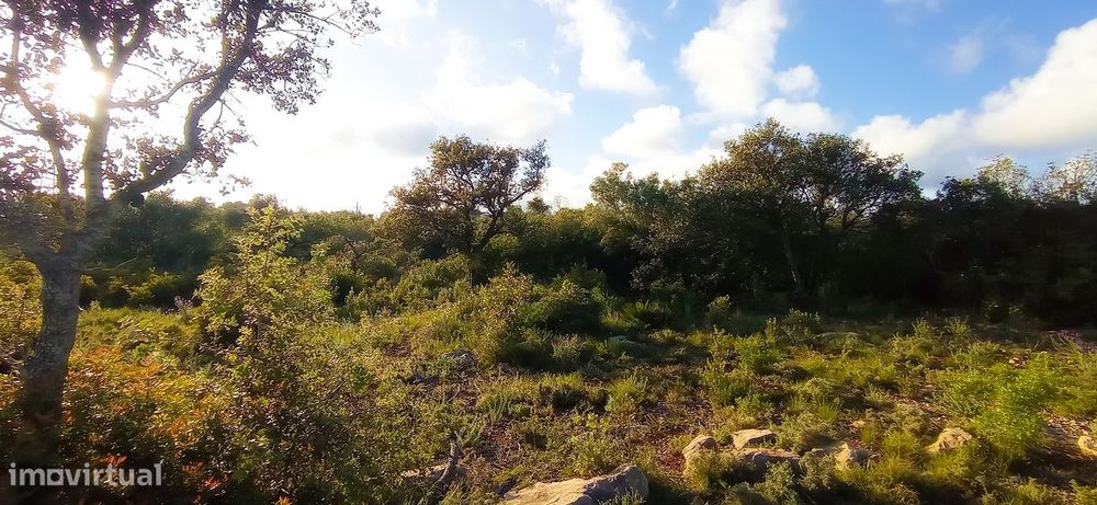 Terreno Rústico  Venda em Conceição e Estoi,Faro