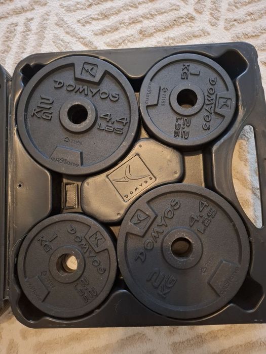 Kit Halteres 20kg + Roda Abdominal | Treino em Casa | 45€