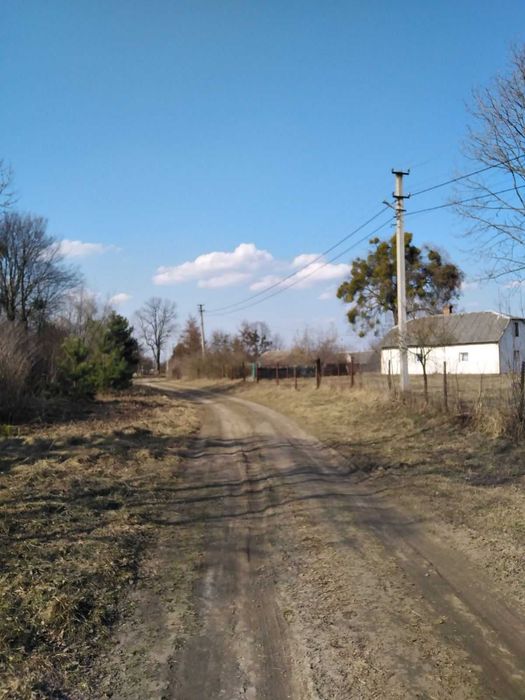 житловий будинок та земельна ділянка 25 сот.,