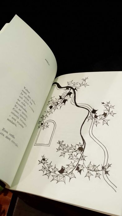 Poemas 1977 Virgínia L. 1ª Edição