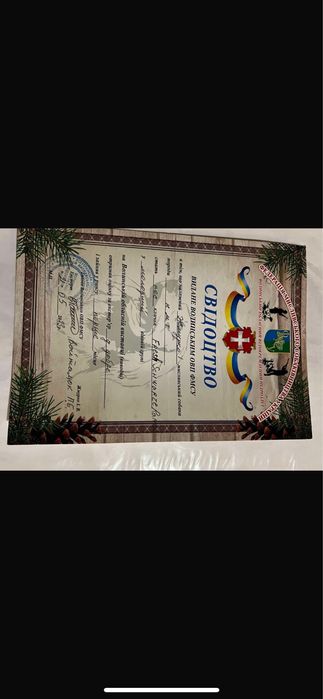 Продам німецьких яхтерєрів