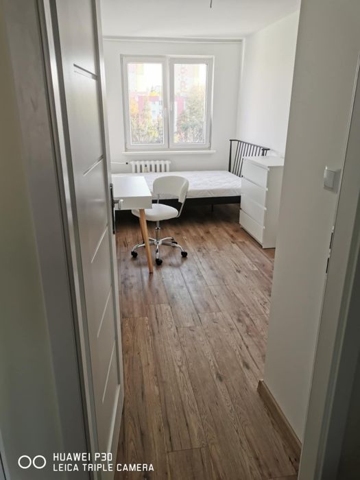 Pokój do wynajęcia od lutego