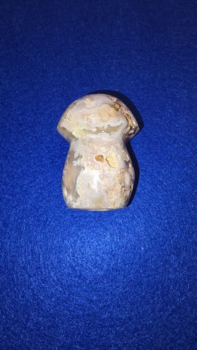 Cogumelo em agata flor