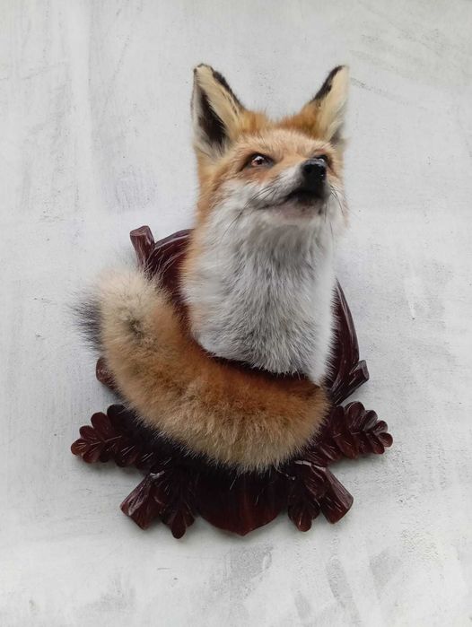 medalion lisa lowietwo trofea rzezba eksponat prezent