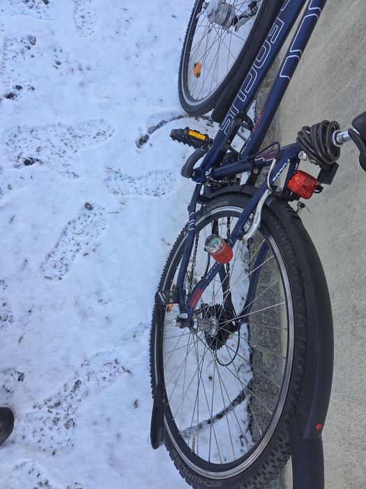 Rower damski Focus Okazja