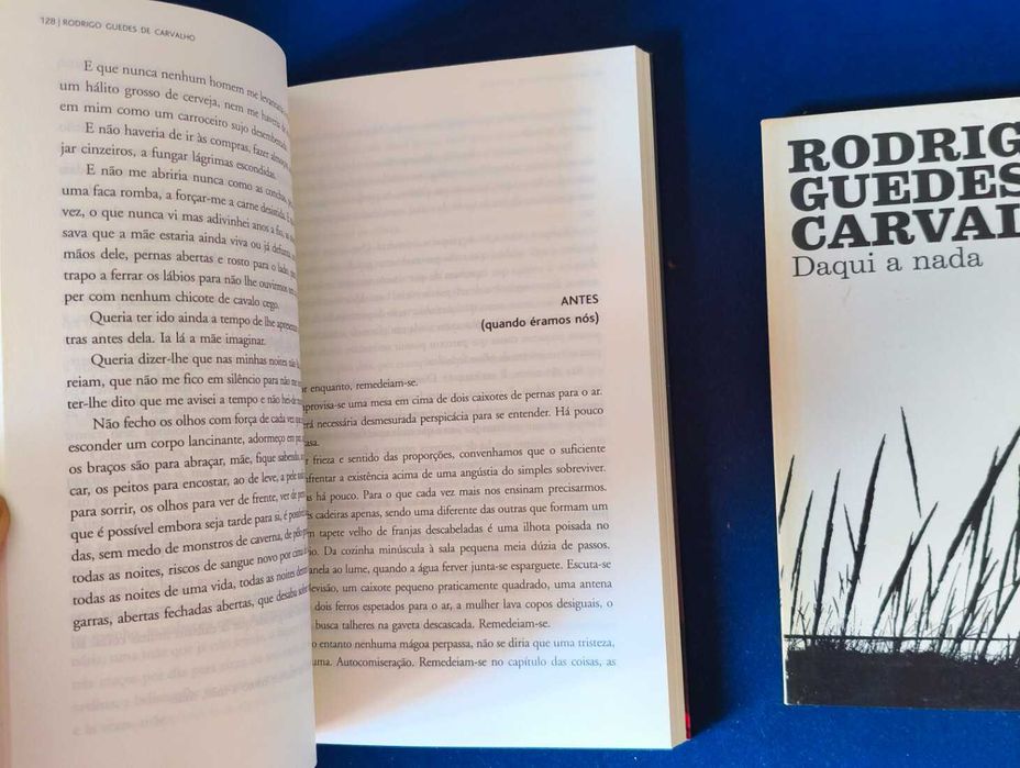 Lote 2 Livros Rodrigo Guedes de Carvalho - Mulher em Branco + Daqui a Nada