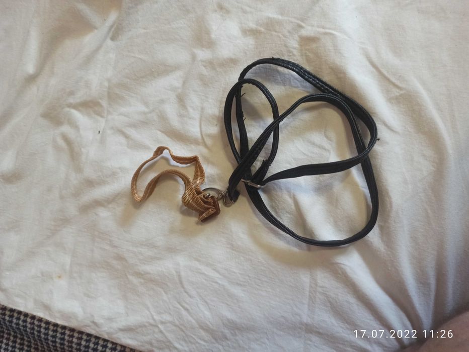 клетки с колесом для  хомячков, поводки, шлея, ошейник для собак, кота