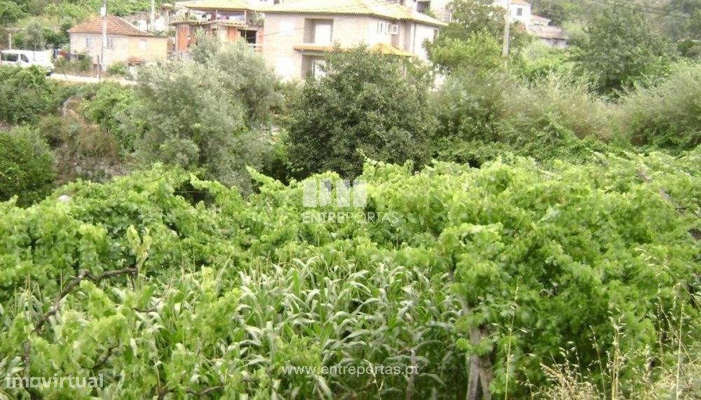 Venda Terreno, Ancede, Baião — Ancede E Ribadouro, Porto
