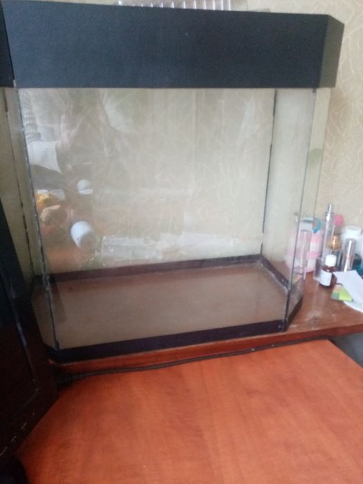 Аквариум панорамный