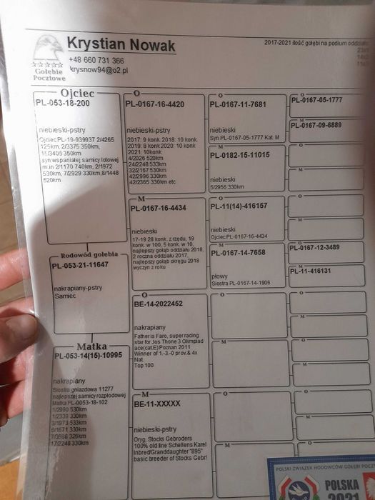 Sprzedam super samca