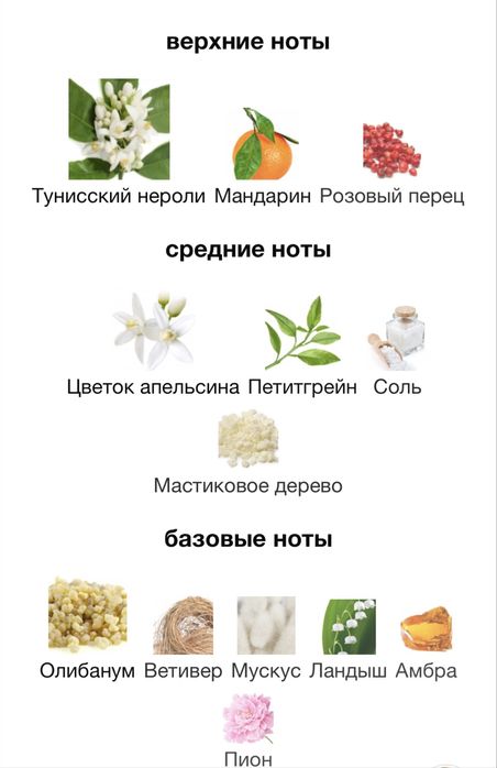 Парфумована вода Loewe Solo Atlas