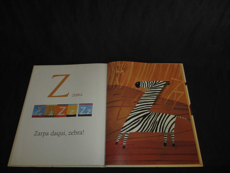 Livro O que se vê no abc Daphne W. Rocha