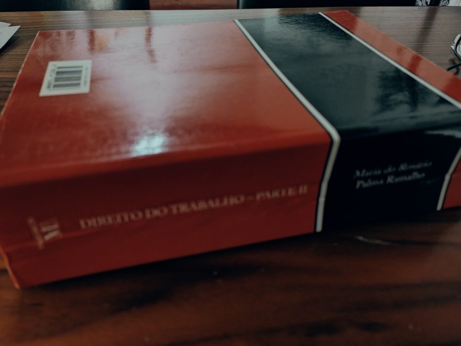 Direito do Trabalho
Parte II - Situações Laborais Individuais
Maria do