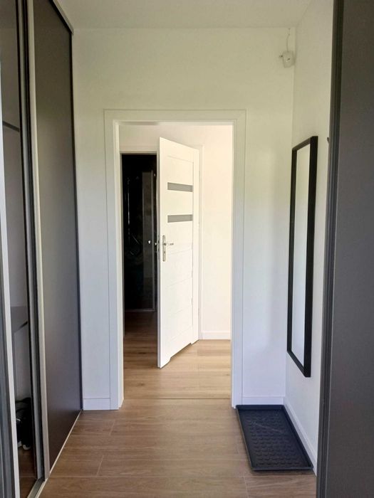 Apartament z ogródkiem na wynajem (parter lub 1 piętro )