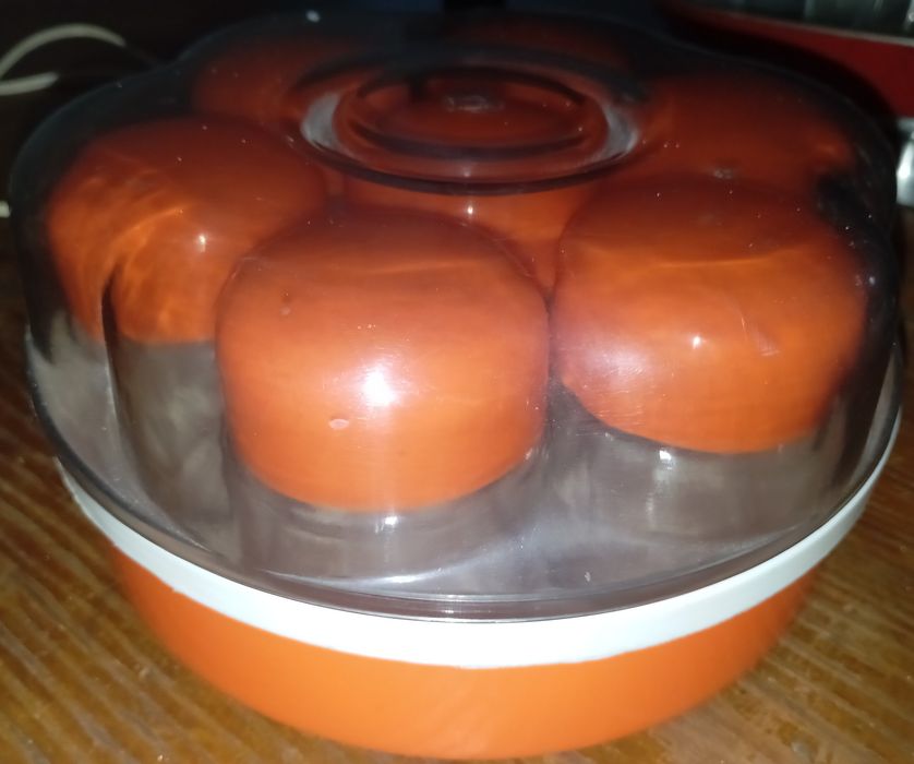 Iogurteira | Máquina Iogurte Vintage