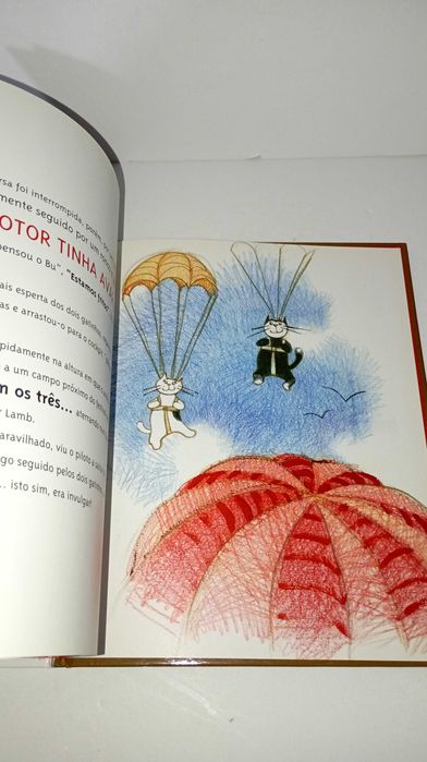 Gatos em Lissadell ou a pequena aventura de Dot & Bu