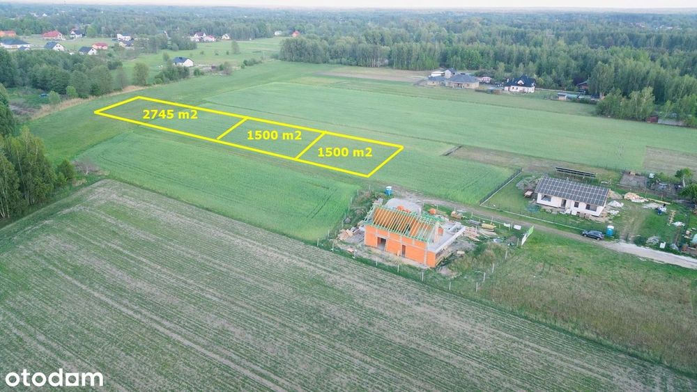 Działka Budowlana nr 443- 2745 m² - Rezerwacja działek 441 / 442 - Widok 2