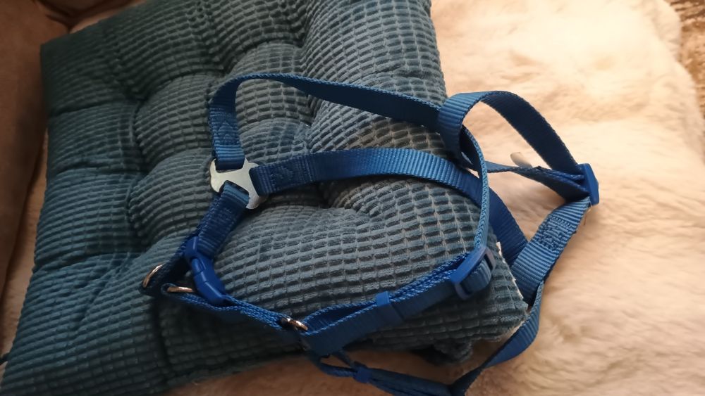 Шлея Тріксі синя M