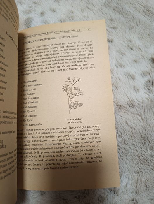 Moje widzenie świata Powrót do ziół