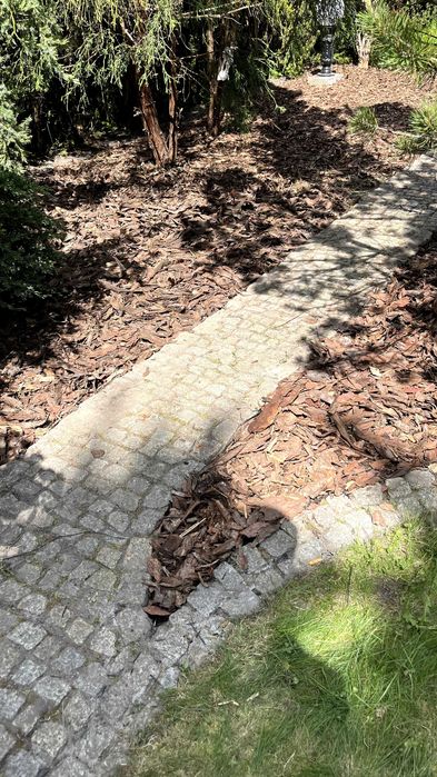 Usługi ogrodnicze- Czysty Plac- całe województwo śląskie