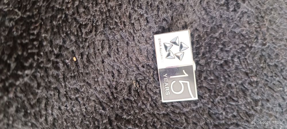 Pin 15 Anos Star Alliance