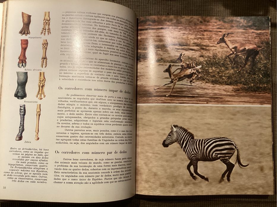 Eciclopédia A FAUNA da enciclopédia ALFA. Completa. Excelente.