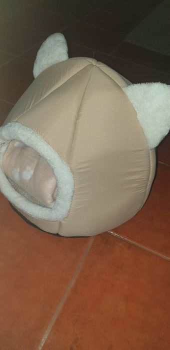 Caminha para gato