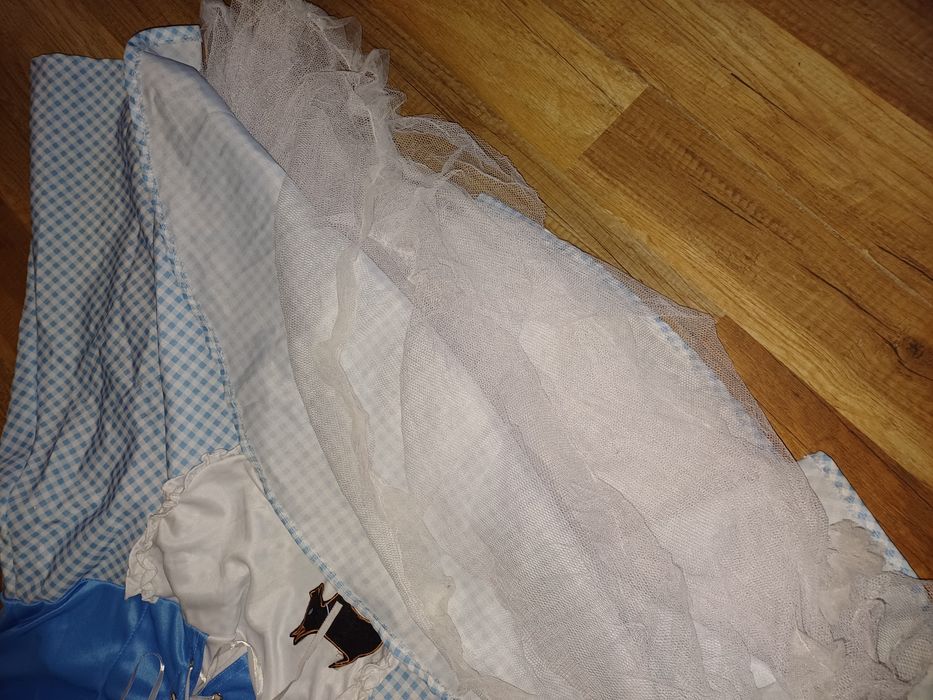 Dorotka czarnoksiężnik z krainy Oz przebranie L Alicja w krainie czaro