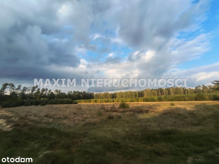 Malownicza działka budowlana (3 001 m²) w Przepitk - Widok 5