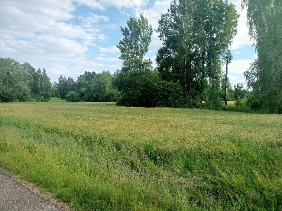 Sprzedam! Działka rolna 4,30 ha w Kątach