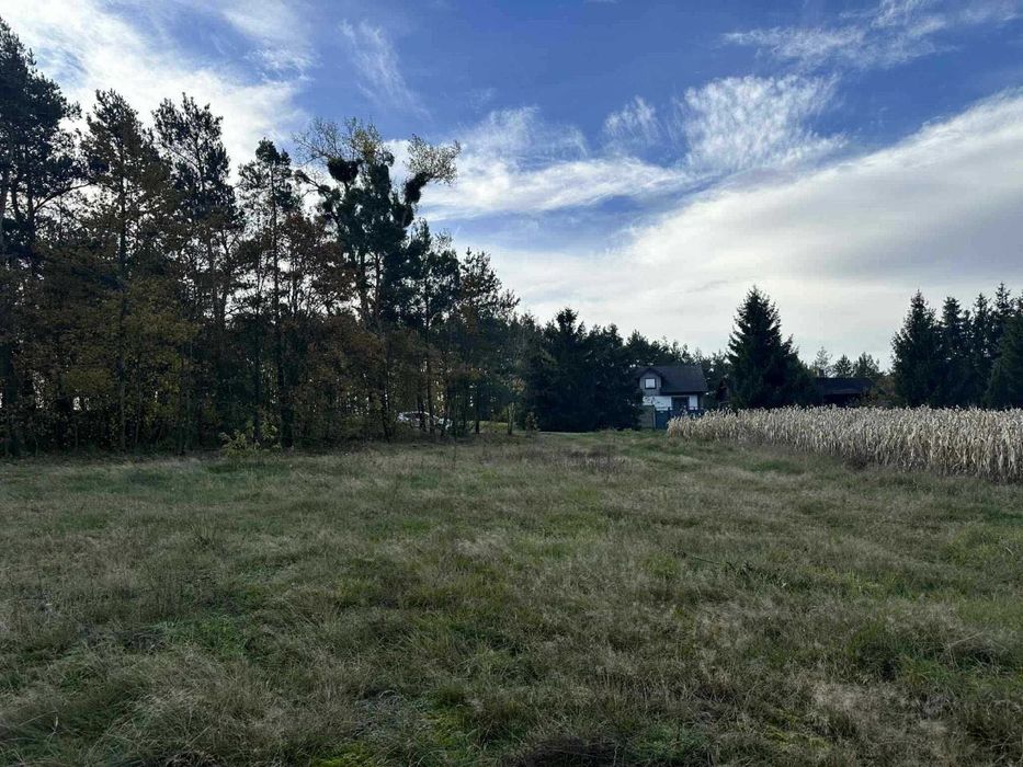 Działka na sprzedaż 4800 m 2 budowlana miejscowość Pałczew Gmina Brójce