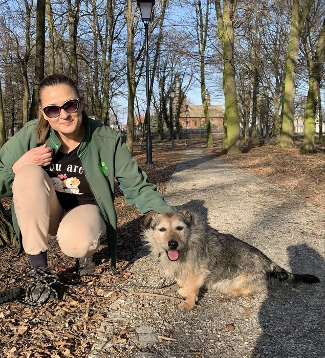 BLAGAMY! Jamniczek zostal sam po śmierci pani - POMOCY!